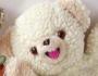 Guest_FaFa!_*