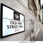 little fish