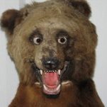 Bear Hug