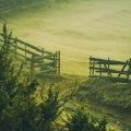 Fence