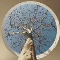 stuckinlimbo
