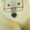Realistbear