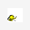 Jadoube
