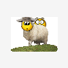 Tankus