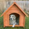 HouseDog